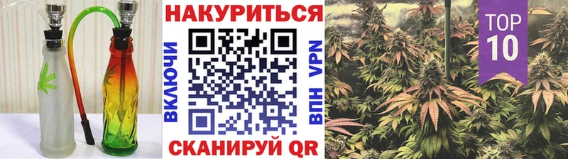 наркота  Кологрив  блэк спрут ссылка  Бошки марихуана сатива 